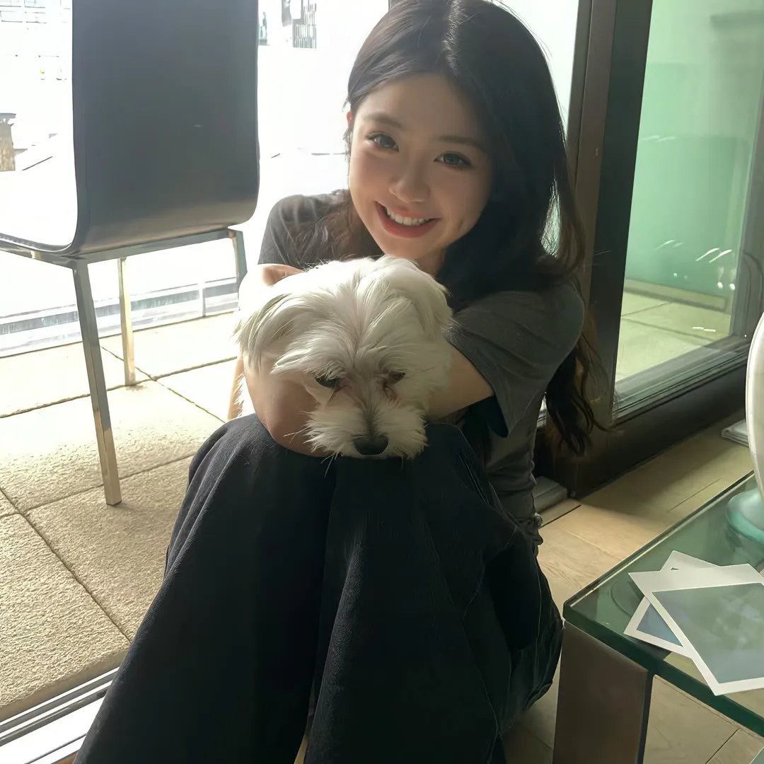 爱婚了
