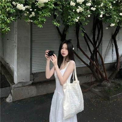 美国派：高潮再起